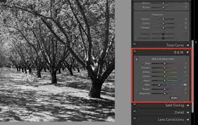 He turns a black and white photo into color using only adjustment brush and the adjustments within this tool. Lightroom In Black And White Creativepro Network