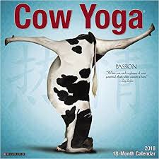 Cow Yoga 2018 Calendar Willow Creek Press 0709786040667 Amazon Com Books Cows Funny Yoga Cow