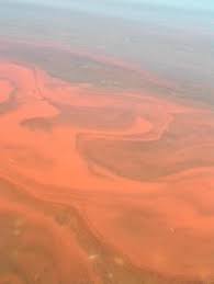 Jun 13, 2021 · red tide has come to tampa bay. Red Tide A Harmful Algal Bloom