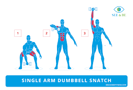 Pin On Dumbbell Strength