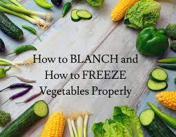 Do not add the ice until just before adding vegetables to the boiling water. How To Blanch And How To Freeze Vegetables Properly Hubpages