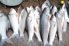 Urine Smells Fishy Signs Of A Health Problem Lorecentral Urine Smells Fishy Health Problems