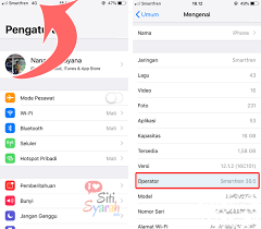 Jadi jangan heran jika jaringan smartfren lemot banget. Bisakah Iphone Menggunakan Kartu Smartfren