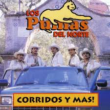 Agrupación con estilo diferente creada por los hermanos balver. Los Pumas Del Norte Corridos Y Mas Shopping Great On Popscreen