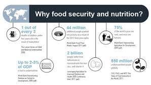 Why Food Security And Nutrition Nutrition Infographic Food Security Nutrition