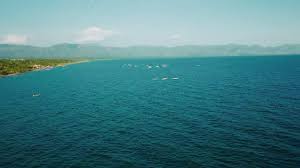 Image result for Mystacidium tanganyikense