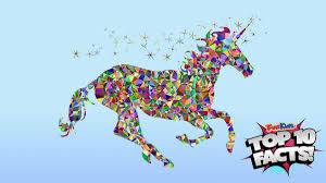 Image result for unicorn