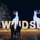 Windsor Great Park Illuminated, Saturday 20th event image