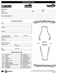 canine dental chart form veterinary medicine vet tech