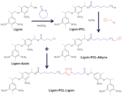 Polymers Free Full Text Lignin Biopolymers In The Age Of