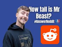 He is an american youtuber notable for his expensive stunts and philanthropy. How Tall Is Mr Beast Answerreddit Geeks Around Globe