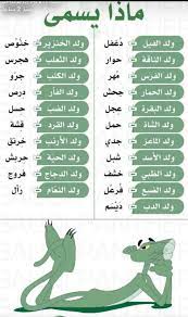 arabic practices arabic language learning arabic english language learning
