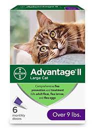 Capstar flea tablets for dogs and cats. Top 7 Walmart Cat Dewormers Of 2021 Best Reviews Guide