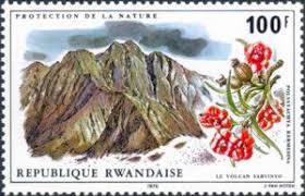 Image result for Polystachya kermesina