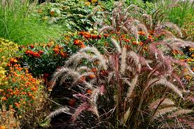 Og er det noen som har forslag til skikkelig hardføre stauder, som tåler en real nordnorsk vinter? Topp 9 Enkle Shade Loving Stauder For Michigan Gardens