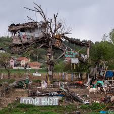 Ali uprkos tome što je izabrao socijalno distanciranje kao izbor načina života, petrović je dobio vakcinu protiv korone čim su postale dostupne. Pirot Moosearound