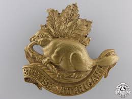 Image result for White Enamel 1908 Military