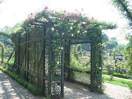 Choosing flowers for a garden trellis can be difficult because there are many flower varieties that will spread and grow beautifully over trellis systems like arches, pergolas and no matter the structure your flowering vines are growing on, it will add charm and beauty to your garden with little effort. Trellises And Climbing Plants Vines
