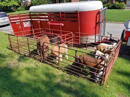 Check spelling or type a new query. Rent A Petting Zoo Barnyard Party Farm Birthday Party