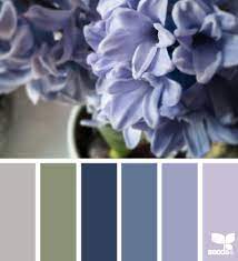 The most common color of hyacinth stone is red. Hyacinth Hues Color Schemes Seeds Color Design Seeds