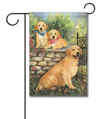 Pin On Golden Retriever