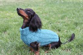 Prepare a cozy knitted sweater for your dog so to protect him from. 26 Dog Sweater Knitting Patterns Knitting News