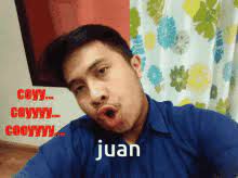 We did not find results for: Juan Gifs Tenor