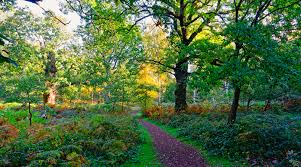 Boutique camping at scaldersitch farm buxton, derbyshire. Romantic Places To Visit Inspired By Legend And Literature Bedandbreakfast Eu