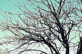 What A Wonderful World...