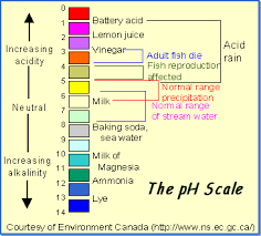 your bodys ph levels