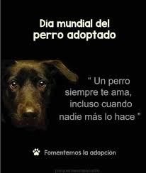 We did not find results for: 23 De Septiembre Dia Mundial Del Perro Adoptado Dia Mundial Del Perro Adoptar Un Perro Dia Del Perro