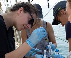 Real world research at UMBS