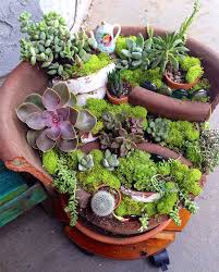 Fortunately, fairy castle cacti are easy to care for. Fairy Garden From Broken Pots Space Gardening Space Gardening