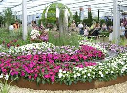 Edwards Coaches Rhs Chelsea Flower Show Hilton T5 Heathrow
