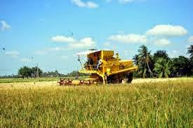 Jika dahulu menanam padi hanya mengandalkan air hujan, maka kini setelah ditemukan banyak teknologi yang mendukung seperti mesin pompa air sehingga proses pengairan tanaman padi bisa. Jenis Tanaman Padi Di Malaysia