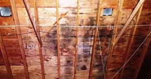 Bathroom Exhaust Fans Left To Discharge Into The Attic Will Cause Moisture And Mold Issues Always Vent The Bathroom Exhaust Bathroom Vent Bathroom Exhaust Fan