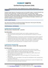 Though not required by 99483, a standardized care plan template customized to the provider or health care system simplifies communication and tracking of patient care and outcomes over time. Cna Resume Samples Qwikresume