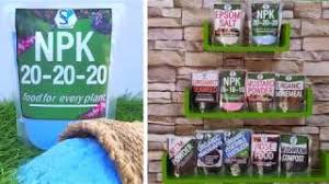 How to use npk 20 20 20 fertilizer. Shiviproducts How To Use Npk 20 20 20 Water Soluble Fertilizer For Plants Youtube