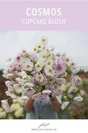 Pin On Grow Floret