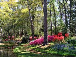 Pin On Paysage