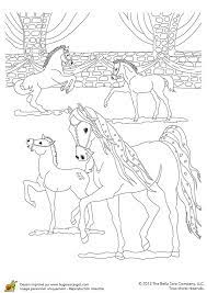 coloriages bella sara magnifiques chevaux coloriage cheval livre de couleur oiseaux toucan