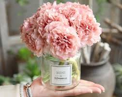 Pin On Abby S Pinterest