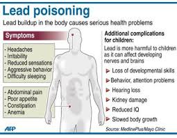 Image result for Lead Poisoning