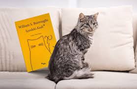 Icerdeki Kedi Kitap Dergisi