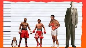 Posted by 4 minutes ago. How Tall Is Floyd Mayweather Jr Height Comparison Youtube
