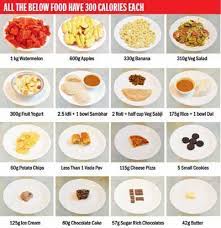 1 whole wheat english muffin 2 pats low fat butter 1 hard boiled egg 1/2 cup of fruit 8 oz fruit juice 8 oz water. 300 Calories Different Portions Same Value Food Calorie Chart 300 Calories 300 Calorie Meals