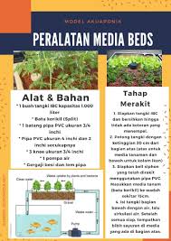 Model Akuaponik Peralatan Dan Bahan Untuk Model Media Beds Di 2020 Kolam Ikan Hidroponik Tanaman