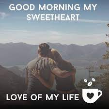 50 Funny Good Morning Memes Have A Good Day Memes