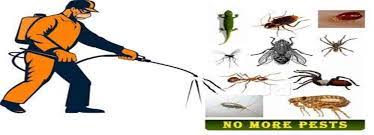Photos, address, and phone number, opening hours, photos, and user reviews on yandex.maps. Onix Pest Expert Onixpest Twitter
