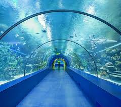 Aquarium Antalya Dugun